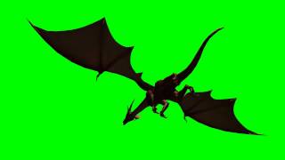 Dragon in fly - green screen effects 12