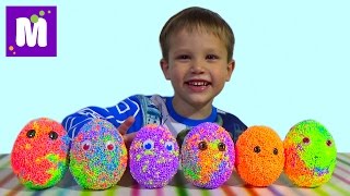Животные заводные сюрприз из шарикового пластилина игрушки