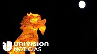 Oriente y occidente se encuentran en un festival de linternas chinas en zoológicos europeos
