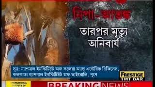 nipah virus panic in Kolkata