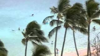 Гавайи. Пляж, море, пальмы, красота!
