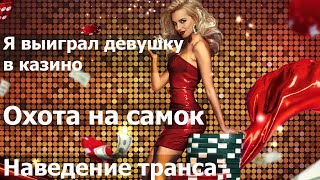 Я выиграл девушку в казино, охота на самок, наведение транса