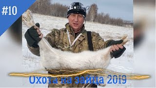 ОХОТА НА ЗАЙЦА 2019-20. Новогодний заяц! Охота на лис! Красивый выстрел!