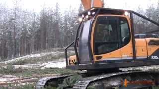 Woodcutters ― Профессиональная вырубка леса
