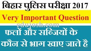 Bihar Police Exam 2017 GS Question जड़, तना, पत्तियां Most Important for SSC MTS, Constable GD, RPF