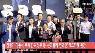 [BEHIND] 'Along with the Gods: The Last 49 Days' Actors Red Carpet (신과함께 : 인과연 배우 레드카펫)