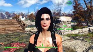 Установка сборки Fallout 4 Moded от games-portal.ws