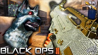 ONE of The Most UNDERRATED Guns in BO2!