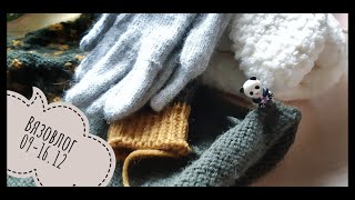 Вязовлог 10 - 16.12// Перчатки// Заяц// Лопапейса// Рарететные журналы//