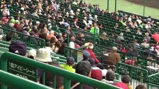 ファウルボールが観客の頭部を直撃か Foul ball hits a man on the head
