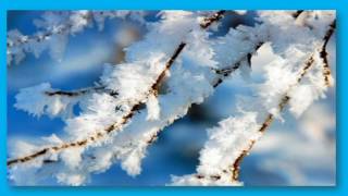 English listening practice на канале Английский с Натальей Алексеевной