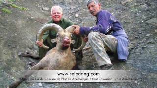 TUR HUNTING (Chasse) CAUCASUS CAUCASE AZERBAIDJAN by Seladang