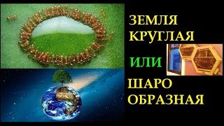 Земля круглая или шарообразная. Кто и как создавал карты.