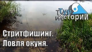 СТРИТФИШИНГ. ЛОВЛЯ ОКУНЯ,