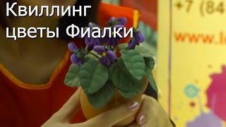 Квиллинг цветы Фиалки - видео мастер-класс