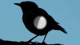Δημήτρης Χόρν & Μάρω Κοντού - Πες μου μια λέξη