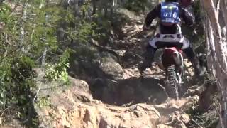 Rally Transbahia