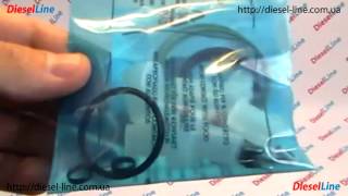 F01M101455 Ремкомплект ТНВД BOSCH CP1