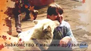 В гостях у хаски - интерактивный квест для школьников
