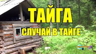 Случай в тайге