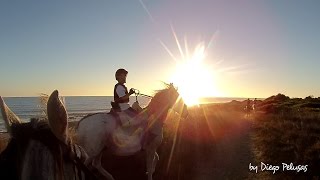 BEACH HORSEBACK HOLIDAYS IN ANDALUSIA. SPAIN