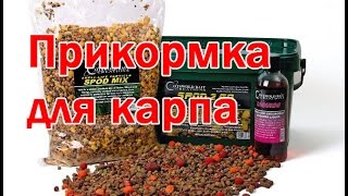 Прикормка и самые уловистые насадки для карпа. Часть 4