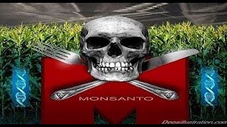 7 Monsanto GMO Effects and Deadly Facts That Will Shock You