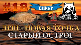 Лещ - Новая Точка! • Фарм серебра • Фидерная ловля • Старый Острог • Русская Рыбалка 4 #18