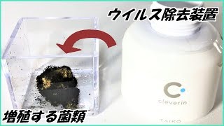 蟻戦争Ⅲ＃136 「ウイルス除去装置」を増殖する菌類に使ったら劇的な結果になった。編～Virus removal device～