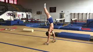 ALLENAMENTI ESTIVI CHALLENGE FAVOLLI - GINNASTICA ARTISTICA