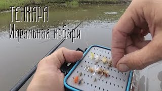 Тенкара. Идеальная кабари