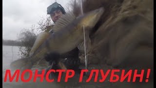 Где сидит Огромный Судак?Подводная охота 2020 на сома и судака!