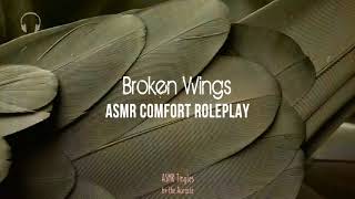 Broken Wings  ★ Comfort [ASMR]  Roleplay ★ [whispers] [multilayer]