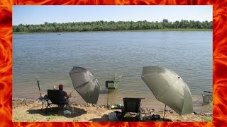 Ловля живца на ЗОНТ!!!