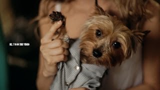 Teaser 17 may 2014. Свадебная видеосъемка Кемерово.