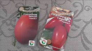 По совету друзей купил эти хорошие сорта томатов
