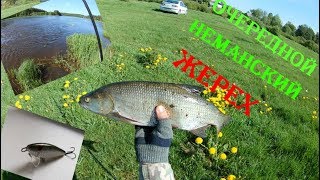 Kenart Flesh 7 ОПЯТЬ ОТЛИЧИЛСЯ . ЛОВЛЯ ЖЕРЕХА.РЫБАЛКА В БЕЛАРУСИ.
