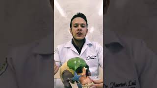 Anatomia óssea do crânio (acidentes ósseos)