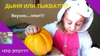 ЧТО ЭТО ЗА ФРУКТ???Дыня или тыква?!?!?!
