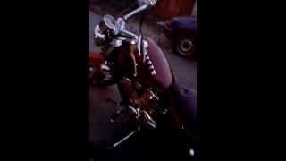 Honda steed