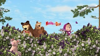 Masha e o Urso - Todas os episódios ? Desenho animado novo 2019!