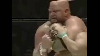 Bushido Super Vader