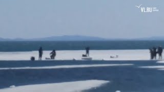 VL.ru - Более 30 рыбаков спасли с оторвавшейся льдины во Владивостоке