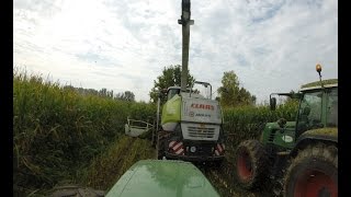 *GoPro* Gavazzoni Trinciatura Mais 2014 HD 1080P