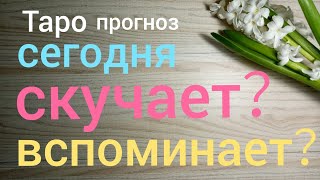 Таро прогноз ОН СКУЧАЕТ ВСПОМИНАЕТ МЕНЯ СЕГОДНЯ Онлайн гадание на картах Таро asmr видео Hygge