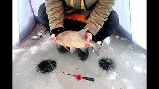 Электронная зимняя удочка Корша