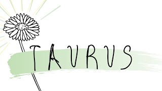 TAURUS | someone wants to be the one leading the way (tarot reading)