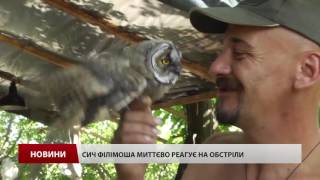 На передовій: як пережило ніч селище Миронівський