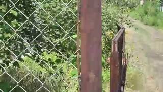 Забор из сетки рабица и старых водопроводных труб. ч. 2