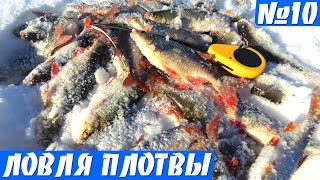 Попал на Жор красноперки и плотвы на Безмотылку!